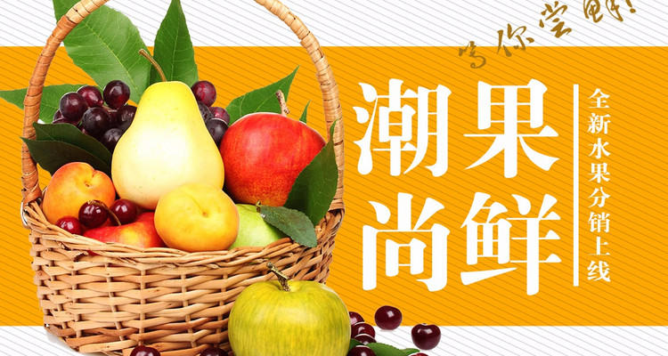 潮尚分销
