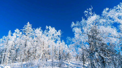 【你好！大东北5日·8人舒适小团】延吉+图们+长白山+雪岭+雪乡+亚雪公路+滑雪+马拉爬犁+雪地温泉+驯鹿接触+5天4晚深度体验