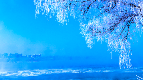 【吉林雾凇岛】12月~2月·最佳时节赏雾凇·天天发团1日游！