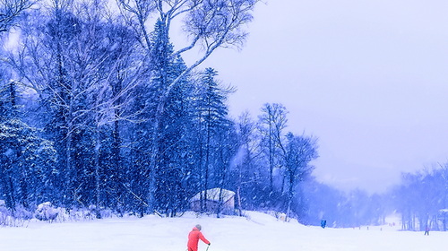 【雪乡冰雪飘移】12月-2月·赏雪乡冰雪世界·赠送多项雪地娱乐·哈尔滨集散·多团期5日游！
