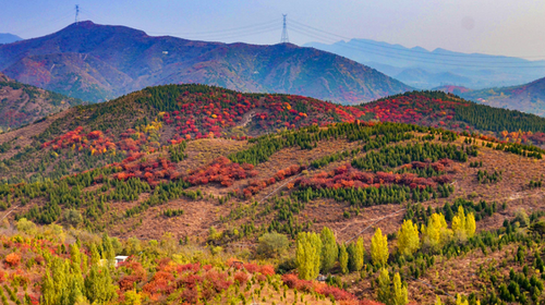 【北京一周一山·舞彩浅山】9公里初级徒步丨五彩浅山步道+赏红叶满山+寻五色金秋