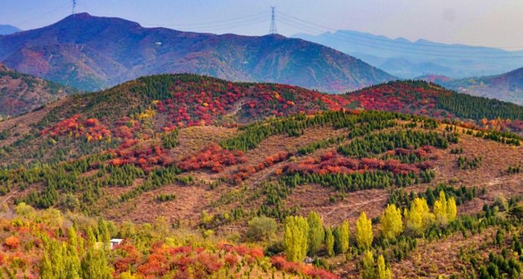 【北京一周一山·舞彩浅山】9公里初级徒步丨五彩浅山步道+赏红叶满山+寻五色金秋