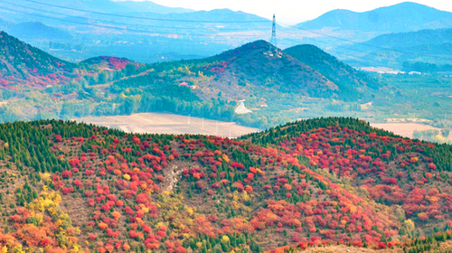 【北京一周一山·舞彩浅山】9公里初级徒步丨五彩浅山步道+赏红叶满山+寻五色金秋