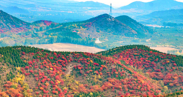 【北京一周一山·舞彩浅山】9公里初级徒步丨五彩浅山步道+赏红叶满山+寻五色金秋