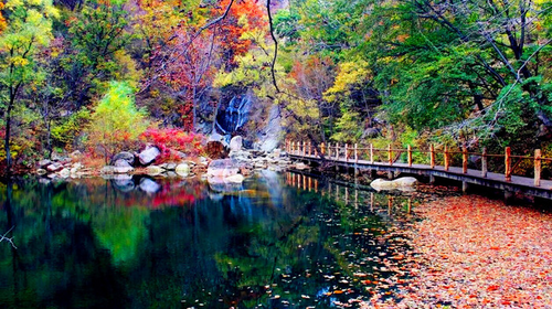 【秋·梨木台】天津出发-蓟县-梨木台休闲游，一价全含