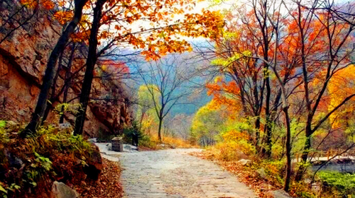 【秋·梨木台】天津出发-蓟县-梨木台休闲游，一价全含