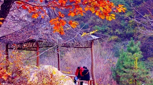 【秋·梨木台】天津出发-蓟县-梨木台休闲游，一价全含