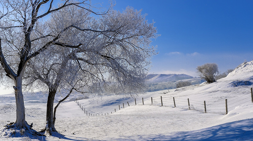 【乌兰布统冬·冰雪越野2.5日】周五晚出发不请假丨穿越塞北雪乡+N种冰雪体验+硬派越野车穿越+雪原日出日落+篝火晚会+28人精品团