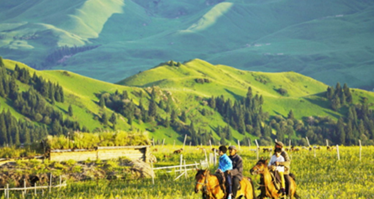 【与疆童行·快乐伊夏7日】| 赛里木湖碧水解密+薰衣草手作+昭苏马术+喀拉峻轻徒步+哈萨克+维族家访亲子研学游