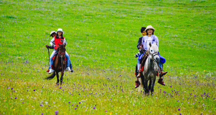 【与疆童行·快乐伊夏7日】| 赛里木湖碧水解密+薰衣草手作+昭苏马术+喀拉峻轻徒步+哈萨克+维族家访亲子研学游