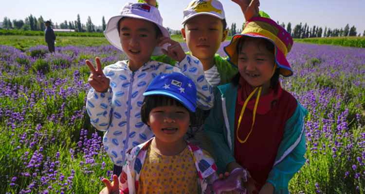 【与疆童行·快乐伊夏7日】| 赛里木湖碧水解密+薰衣草手作+昭苏马术+喀拉峻轻徒步+哈萨克+维族家访亲子研学游