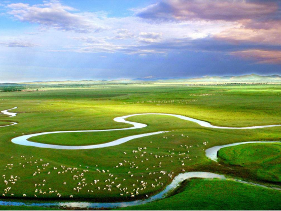 内蒙四大草原之一;草原类型多样,为我国最具代表性和典型性的温带草原