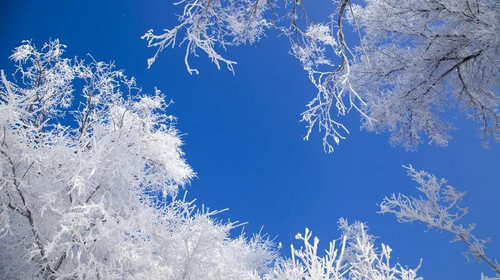 【冰雪梦幻A线7日·2-28人品质大巴团】哈尔滨+延吉+图们+长白山+雪乡+亚雪公路+雪地漂流+冬捕+网红雪圈漂移+雾凇长廊+万科滑雪+梦幻雪山徒步+狂野撒欢！