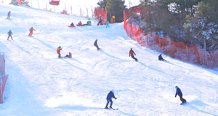 【南山滑雪·1日游】北京顶级滑雪场+天天发团+全天畅滑+尽享冰雪世界的速度与激情