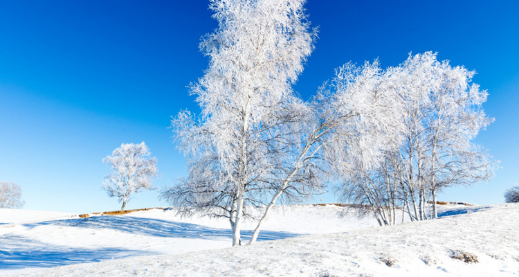 【自驾乌兰布统·越野穿越3日】越野车穿越雪原+雪地火锅+冰雪体验+篝火烟花+户外深度自驾游