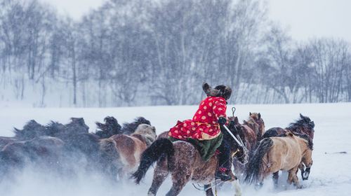 【自驾乌兰布统·越野穿越3日】一价全包+吃住全含丨越野车深度穿越雪原+雪地炖肉+草原火锅+冰雪体验+篝火烟花