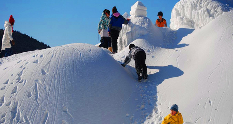 【石京龙滑雪·1日】万科品质丨一价全含+全天畅滑！