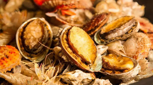 【遇见山海·初遇威海4日】漫步宜居之城+CityWalk深入城市角落+纯玩精品私家团&12人精品团