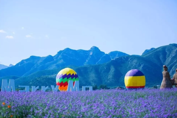 邂逅花海 京城不得不去的赏花胜地 潮尚旅行