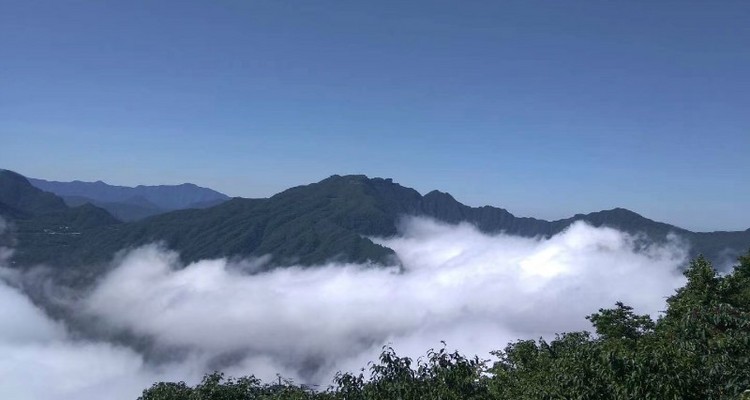 【汉中油菜花·龙头山】汉中油菜花+诸葛古镇+龙头山乘高空索道·观最美云海+休闲纯玩2日