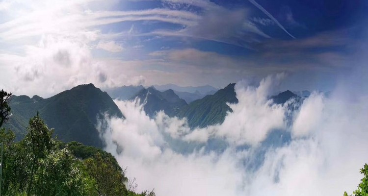 【汉中油菜花·龙头山】汉中油菜花+诸葛古镇+龙头山乘高空索道·观最美云海+休闲纯玩2日
