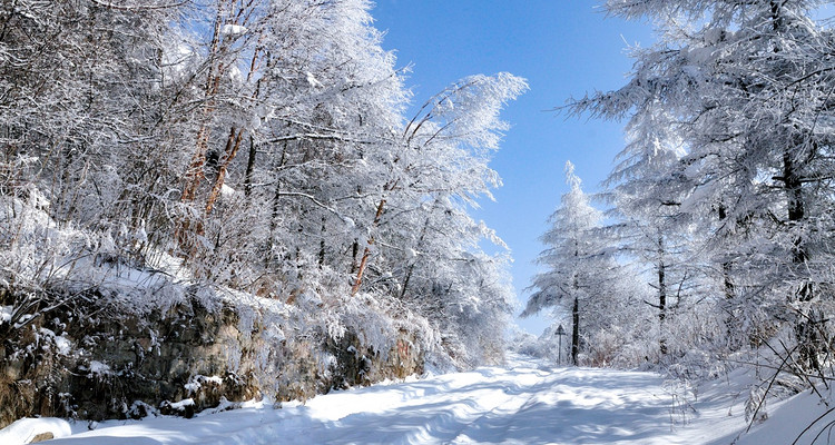 【冰雪梦幻A线7日·2-8人精品小团】哈尔滨+雪地温泉+5S滑雪+徒步梦幻雪山+网红雪地摩托冲浪+镜泊蓝冰/冬捕/雪圈漂移+马拉爬犁逛村+雾凇奇观+雪地漂流狂野撒欢！