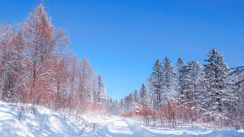【冰雪梦幻A线7日·2-8人精品小团】东北哈尔滨+雪地温泉+5S滑雪+徒步梦幻雪山+网红雪地摩托冲浪+镜泊蓝冰/冬捕/雪圈漂移+马拉爬犁逛村+雾凇奇观+雪地漂流狂野撒欢！