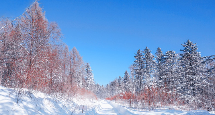 【冰雪梦幻A线7日·2-8人精品小团】哈尔滨+雪地温泉+5S滑雪+徒步梦幻雪山+网红雪地摩托冲浪+镜泊蓝冰/冬捕/雪圈漂移+马拉爬犁逛村+雾凇奇观+雪地漂流狂野撒欢！