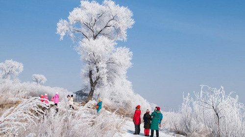 【冰雪童话·亲子研学6日】哈尔滨+亚布力滑雪场+二浪河林场+大雪谷+雪乡+牡丹江+横道河子小镇+伏尔加庄园多项亲子互动项+哈尔滨亲子研学6日