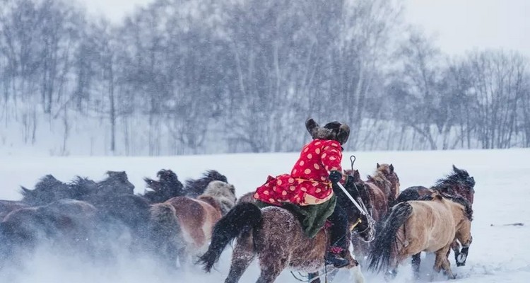 【遇见乌兰布统冬·亲子营6日】乌兰布统＋古北水镇＋云佛山滑雪＋冰雪王国深度越野穿越+堆雪人、打雪仗+冰雪亲子运动会+化身狩猎、冰捕达人+篝火晚会+花式玩转冬季草原+专业摄影师+28人团