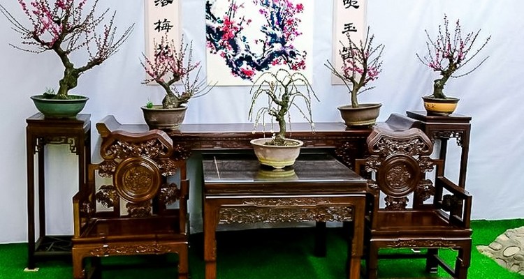 【响水湖长城】128元全含-赏盛世梅花-徒步古长城-怀柔响水湖长城-休闲1日游！
