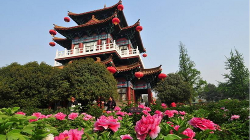 清明 洛阳牡丹 龙门石窟 嵩山少林寺 洛阳牡丹花会 白马寺 壮美中原3 5日游 潮尚旅行