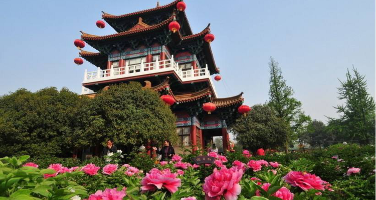 【清明·洛阳牡丹】龙门石窟·嵩山少林寺·洛阳牡丹花会·白马寺·壮美中原3.5日游！