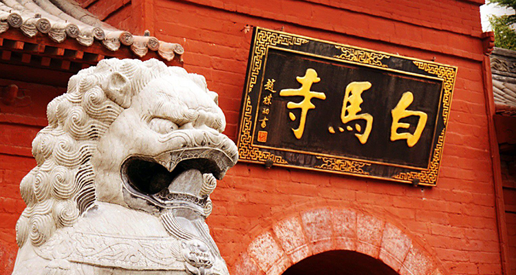 【清明·洛阳牡丹】龙门石窟·嵩山少林寺·洛阳牡丹花会·白马寺·壮美中原3.5日游！