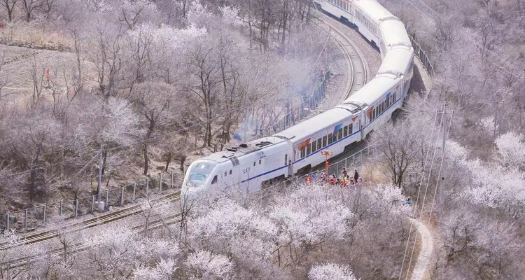 【北京一周一山·花海列车】休闲丨7公里丨开往春天的列车S2线+居庸关长城+花海栈道+民国青龙桥车站+踏青赏花