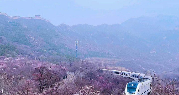 【北京一周一山·花海列车】休闲丨7公里丨开往春天的列车S2线+居庸关长城+花海栈道+民国青龙桥车站+踏青赏花
