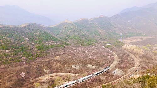 【北京一周一山·花海列车】休闲丨7公里丨开往春天的列车S2线+居庸关长城+花海栈道+民国青龙桥车站+踏青赏花