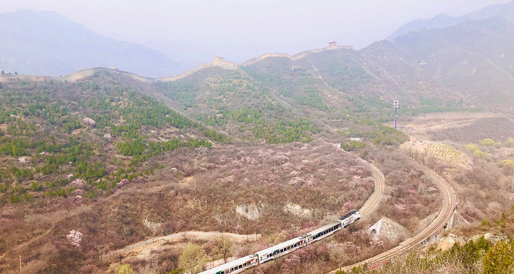 【北京一周一山·花海列车】开往春天的列车S2线+居庸关长城+花海栈道+民国青龙桥车站+踏青赏花