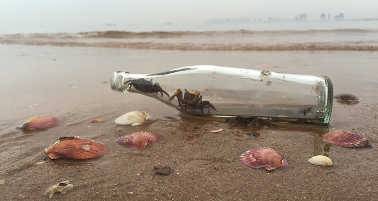 【魅力东戴河】中秋·国庆·探寻原生态海滩·海边漫步·海鲜大餐·休闲2日游