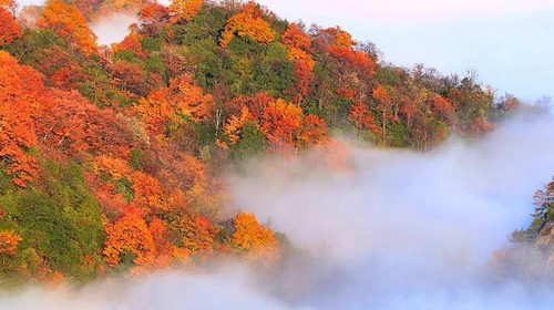 【遇见秦巴·光雾山摄影4日】