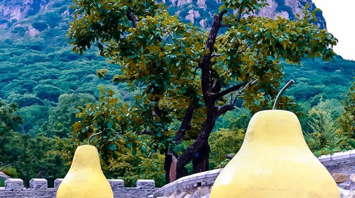 【北京一周一山·梨树沟】限时特惠通票全含+山地滑车+漂流+花海梯田+音乐喷泉+栗树谷+项目表演+无动力娱乐项目+小猪跳水+平谷休闲游！
