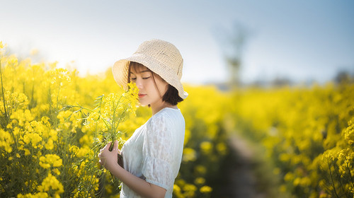 【遇见汉中油菜花 · 轻奢赏花】古城西安+汉中+朱鹮梨园+洋县油菜花+唐家湾油菜花+元墩龙湾油菜花+昭化古城+剑门关+青木川古镇+诸葛古镇+兴汉胜境+退改无忧+24H接送机/站服务+户外深度纯玩6日