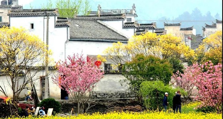 【遇见徽州·婺源皖南6日】婺源徽州全景游+春日油菜花+江岭+江湾+篁岭+徽州深度游+新安江+卖花渔村+云山村落木梨硔+祖源村+石潭日落晨雾+10人休闲摄影小团&私家团