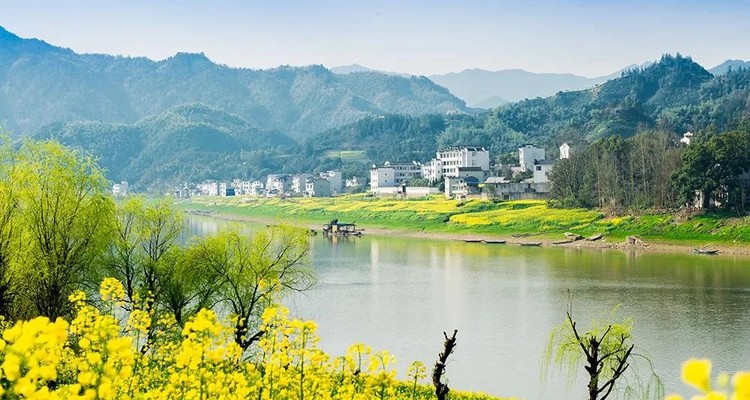 【遇见徽州·婺源皖南6日】婺源徽州全景游+春日油菜花+江岭+江湾+篁岭+徽州深度游+新安江+卖花渔村+云山村落木梨硔+祖源村+石潭日落晨雾+10人休闲摄影小团&私家团