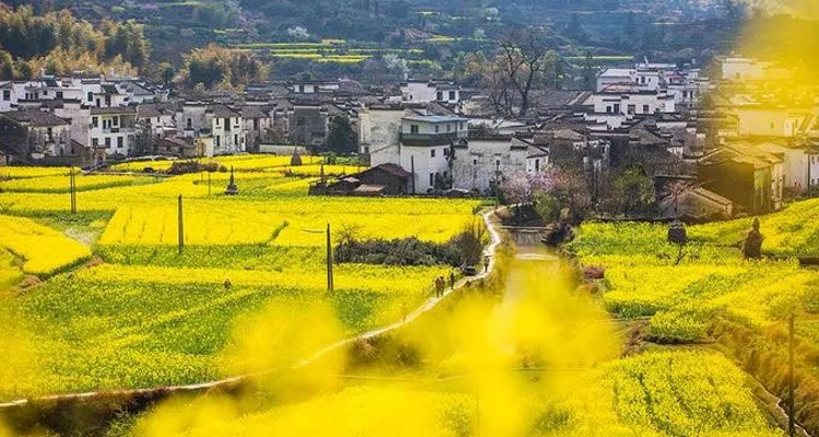 【遇见徽州·婺源皖南6日】婺源徽州全景游+春日油菜花+江岭+江湾+篁岭+徽州深度游+新安江+卖花渔村+云山村落木梨硔+祖源村+石潭日落晨雾+10人休闲摄影小团&私家团