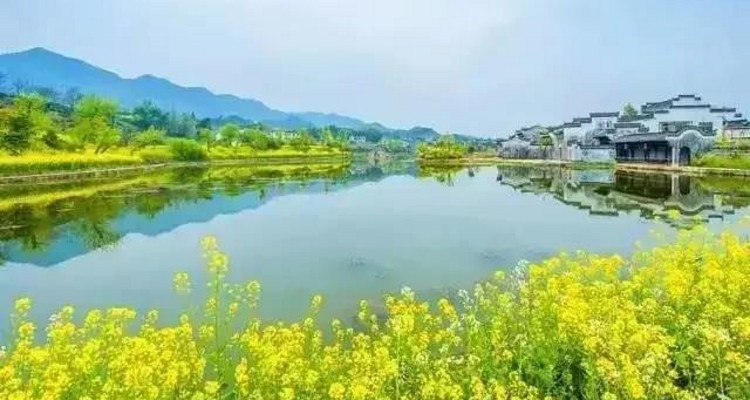 【遇见徽州·婺源皖南6日】婺源徽州全景游+春日油菜花+江岭+江湾+篁岭+徽州深度游+新安江+卖花渔村+云山村落木梨硔+祖源村+石潭日落晨雾+10人休闲摄影小团&私家团