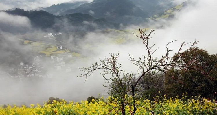 【遇见徽州·婺源皖南6日】婺源徽州全景游+春日油菜花+江岭+江湾+篁岭+徽州深度游+新安江+卖花渔村+云山村落木梨硔+祖源村+石潭日落晨雾+10人休闲摄影小团&私家团
