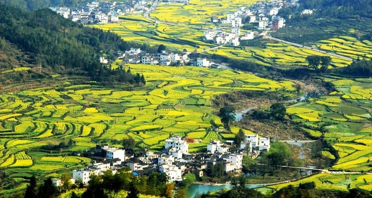 【遇见徽州·婺源皖南6日】婺源徽州全景游+春日油菜花+江岭+江湾+篁岭+徽州深度游+新安江+卖花渔村+云山村落木梨硔+祖源村+石潭日落晨雾+10人休闲摄影小团&私家团