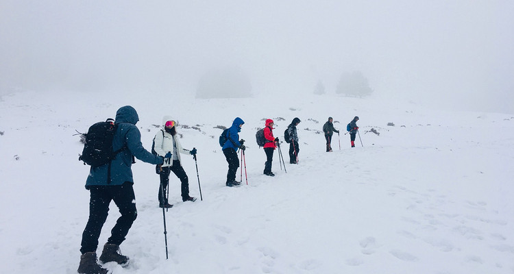 【行走云南·哈巴雪山4日】挑战人生第一座雪山5396米+丽江+哈巴村+哈巴大本营+登哈巴雪山+户外纯玩4日