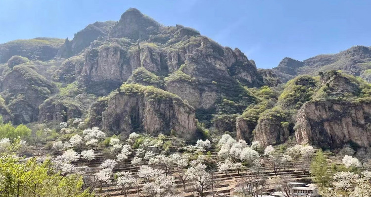 【北京一周一山·大滩梨花梯田】12公里休闲徒步丨探寻大山深处世外桃源+春日赏花摄影